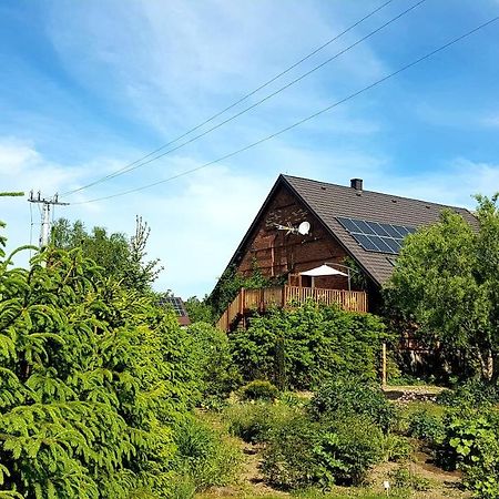 Dziewanna Apartman Brzeziniec Kültér fotó