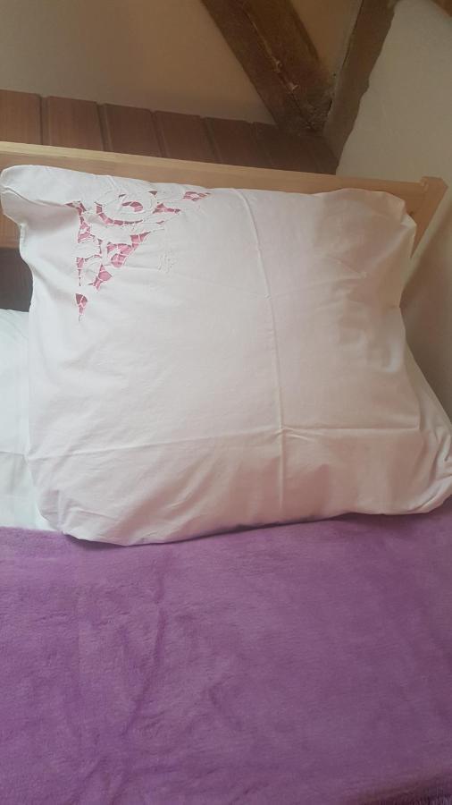 Dziewanna Apartman Brzeziniec Kültér fotó