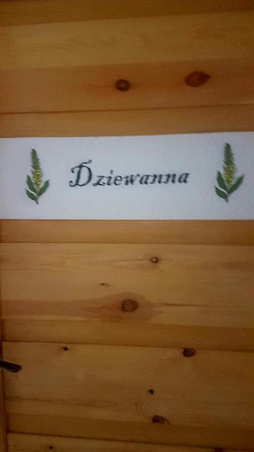 Dziewanna Apartman Brzeziniec Kültér fotó