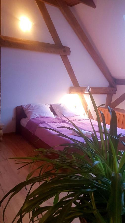 Dziewanna Apartman Brzeziniec Kültér fotó